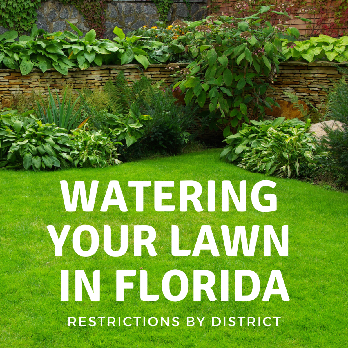 When Can I Water My Lawn? Florida Water Restrictions