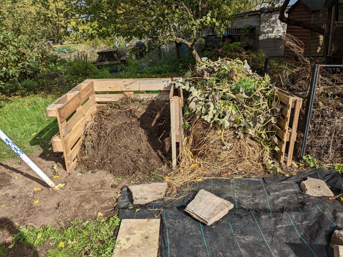 The First Year of Having An Allotment Plot: 5 Things I Have Learnt ...