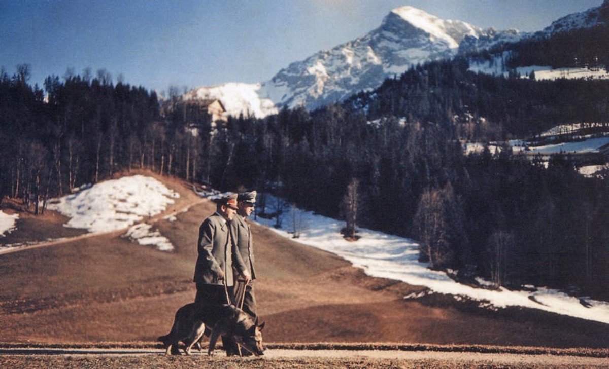 Hitler walks with his dog Bindi and a companion.