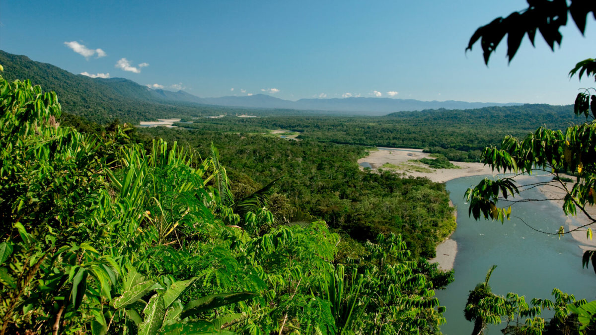 Peru's Manu National Park and Biosphere Reserve Is a Haven for Biodiversity