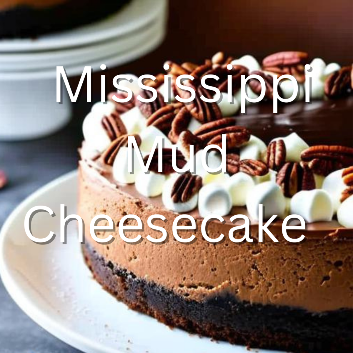 Mississippi Mud Cheesecake