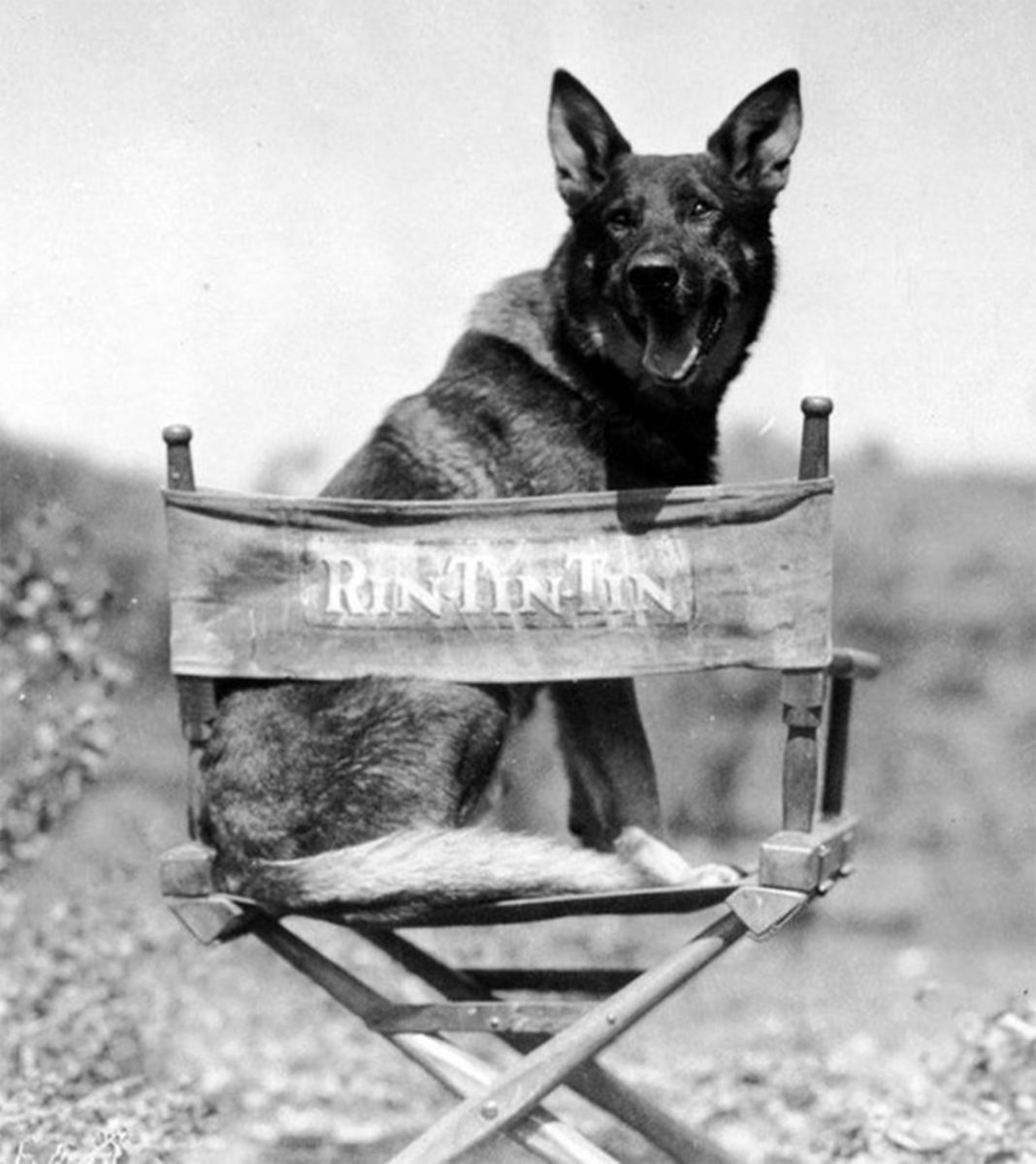 The Story of Canine Movie Legend Rin Tin Tin