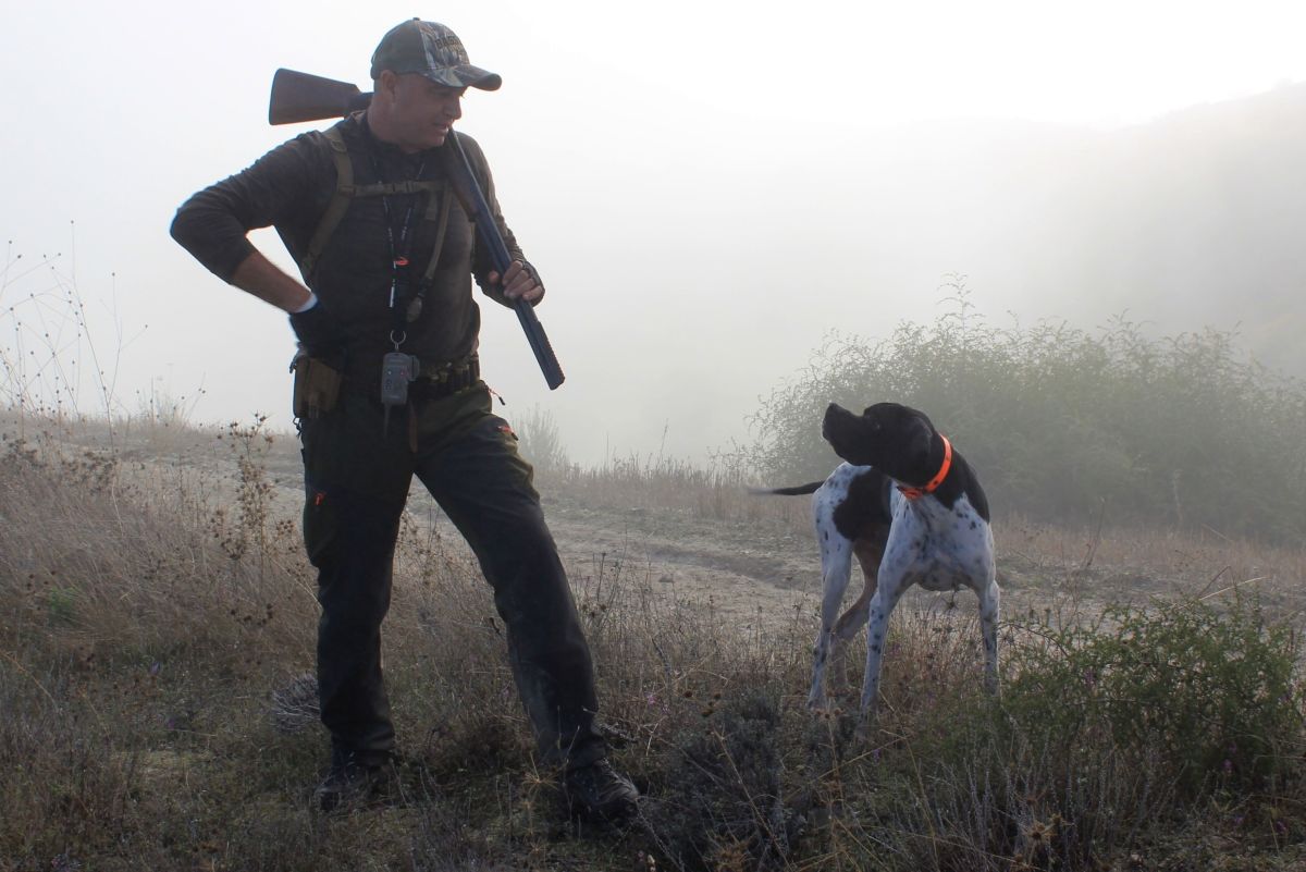 100 Hunting Dog Names: Male and Female