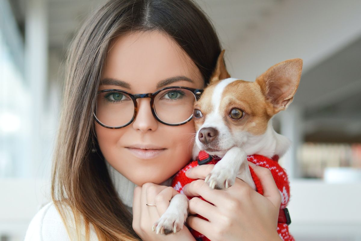 Chihuahua Temperament: The Good, the Bad, and the Ugly