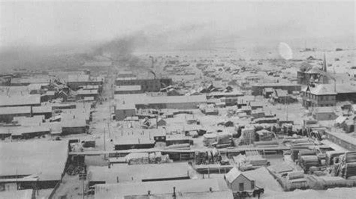 Togo Canine Hero of 1925 Nome, Alaska Serum Run HubPages