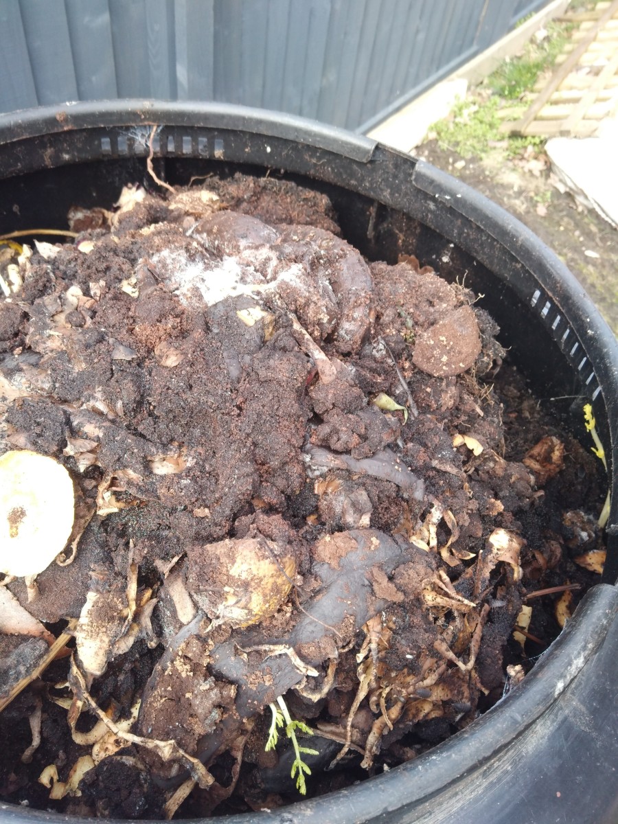 101 Things to Put in Your Composter