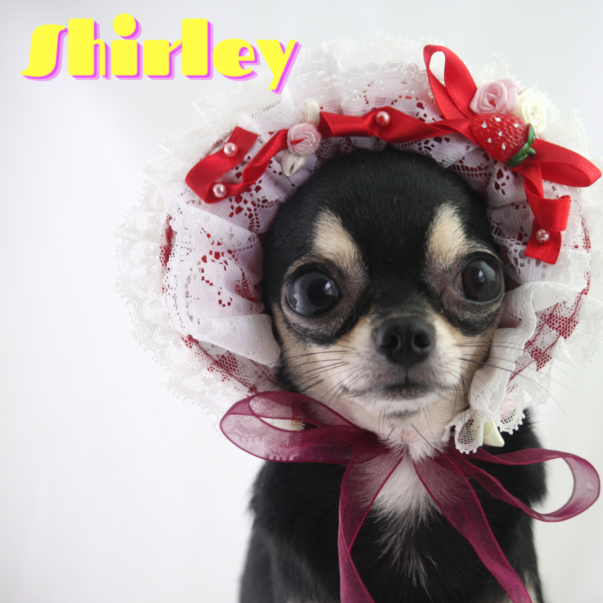 Consider a cute name like Shirley.