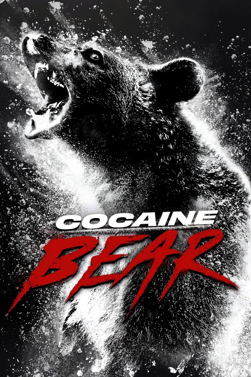 There's A New Bear in Town and Man, Does He Like the Smell of Cocaine!