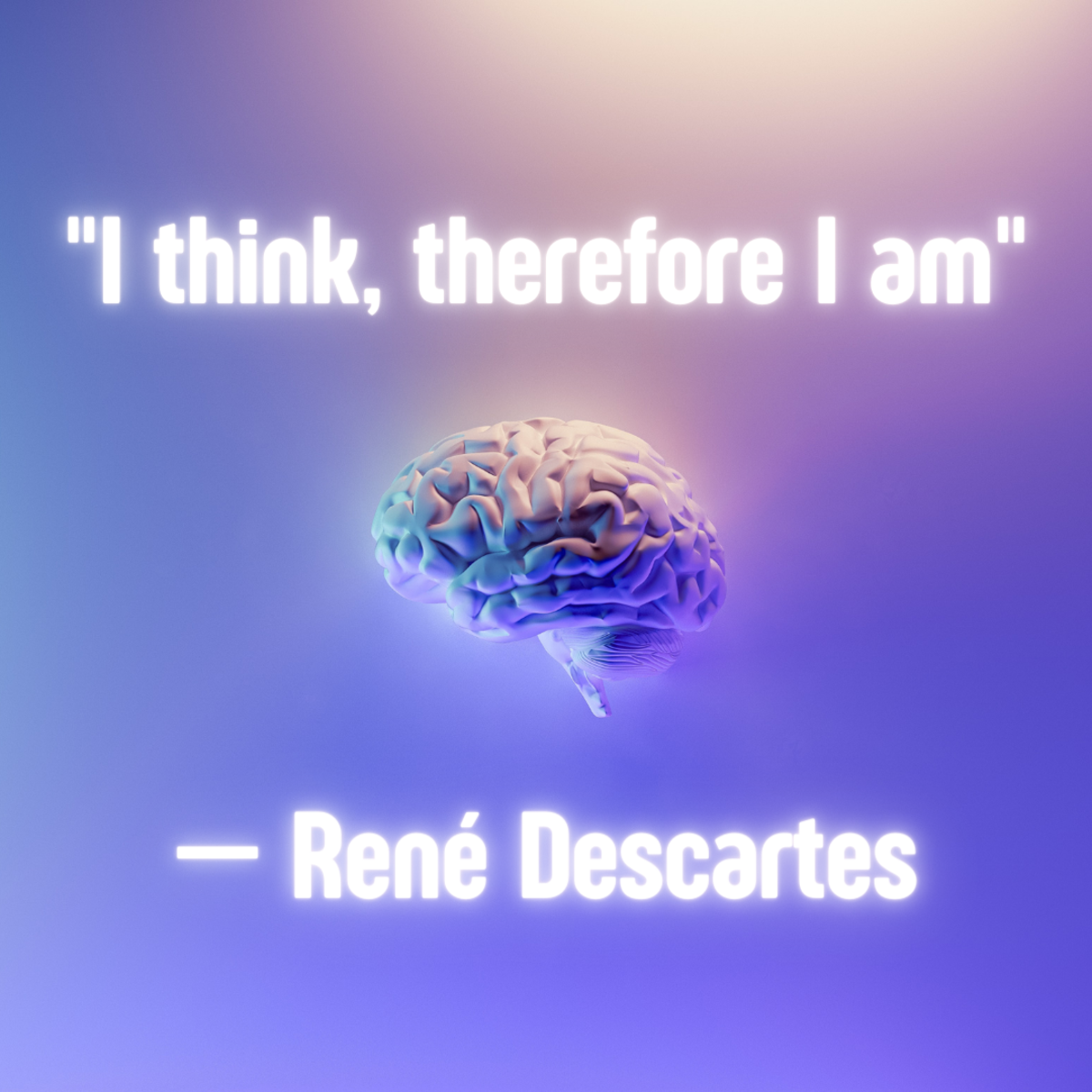 René Descartes: Main Ideas Owlcation