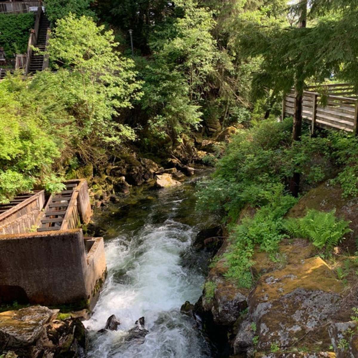 Colorful Ketchikan, Alaska Is the Salmon Capital of the World and