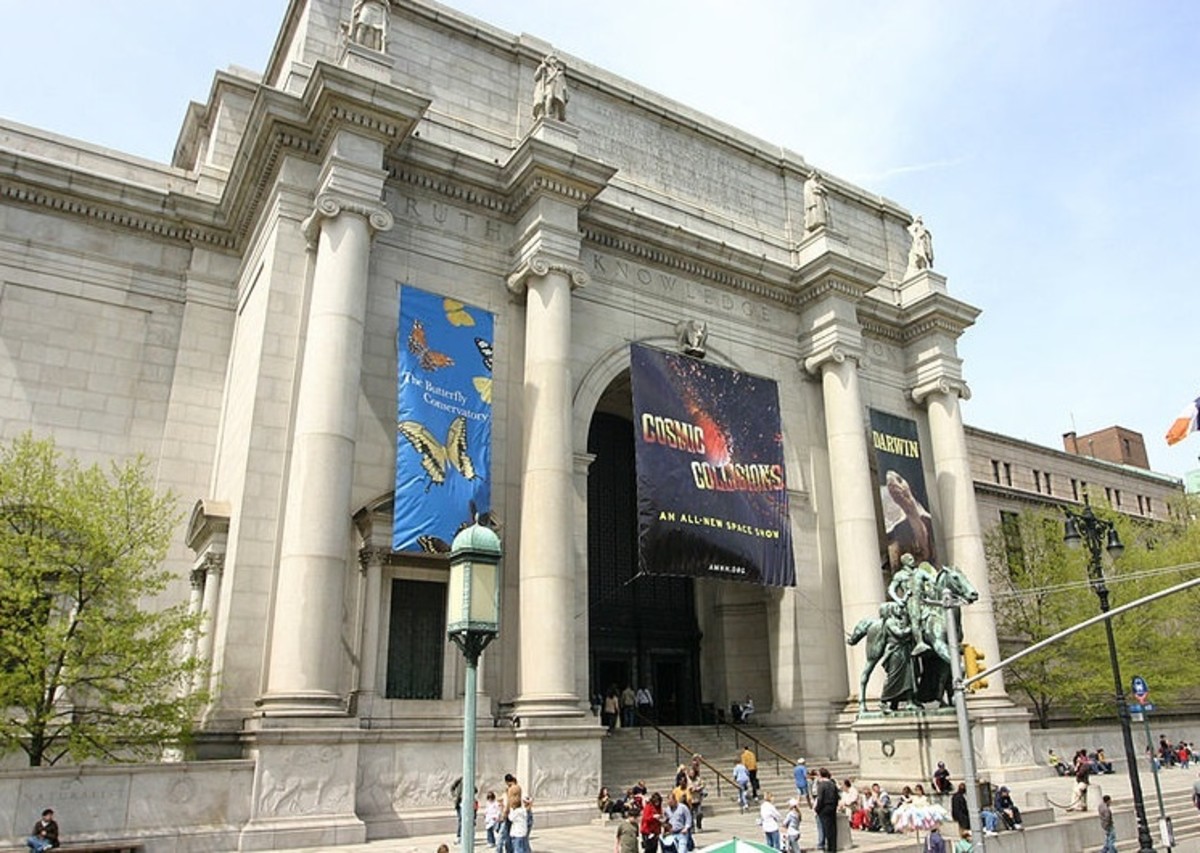 The Shocking New York Museum of Natural History Heist