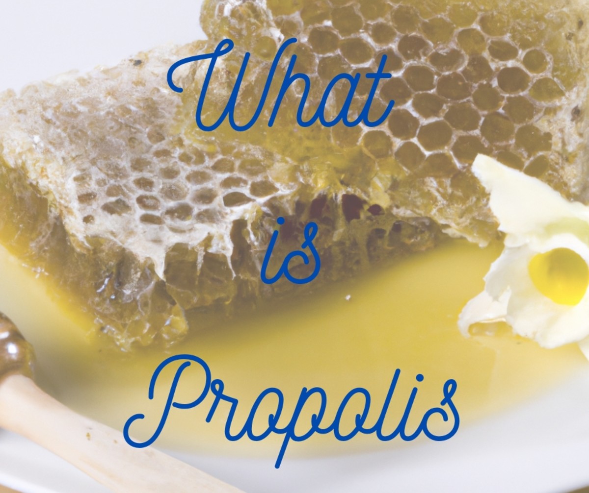 A Beginner's Guide to Propolis and its Skincare Benefits