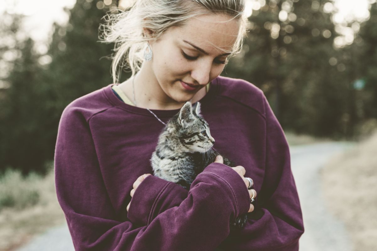 The Top 4 Places to Adopt a New Cat