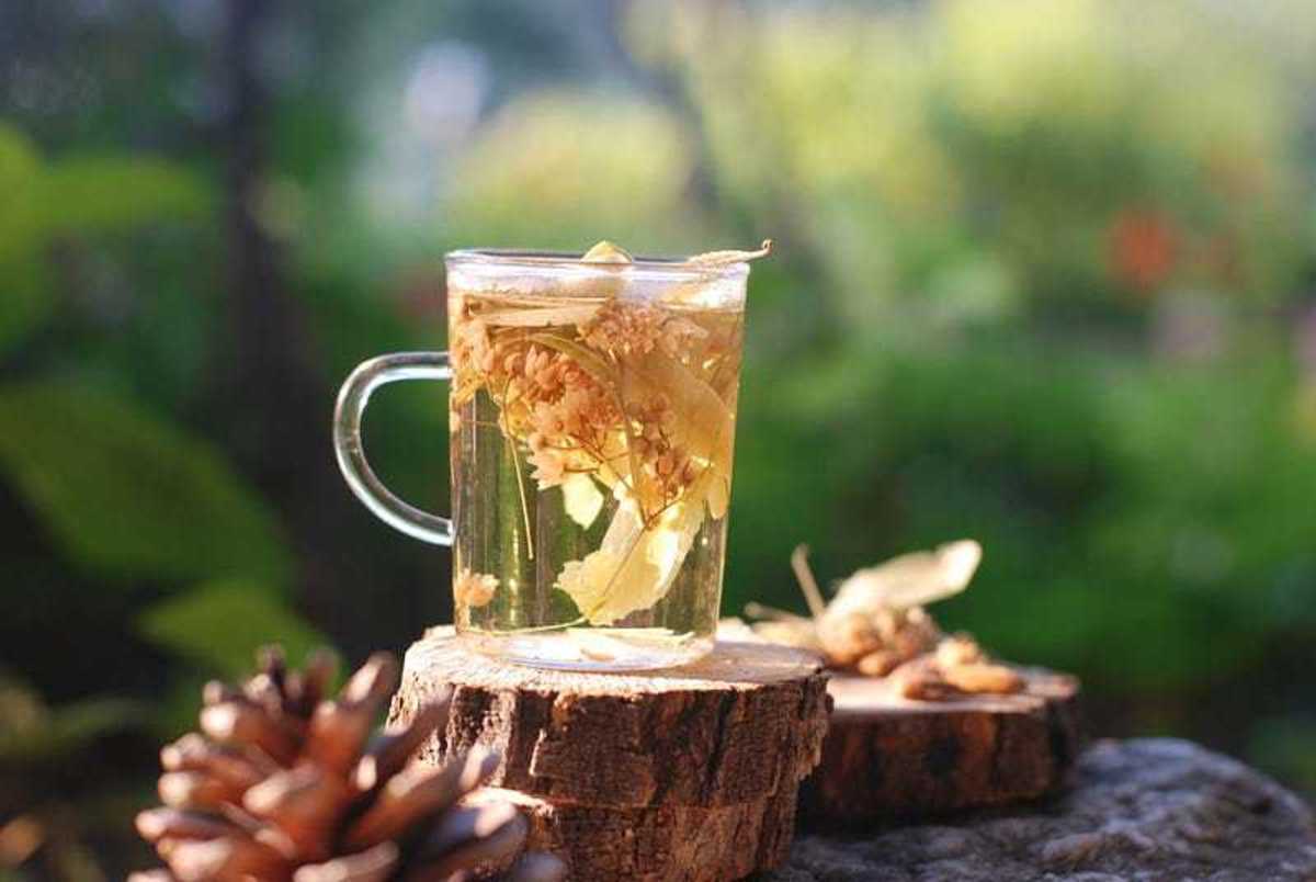 Drinking Herbal Tea Daily 10 Surprising Benefits You Didn't Know About