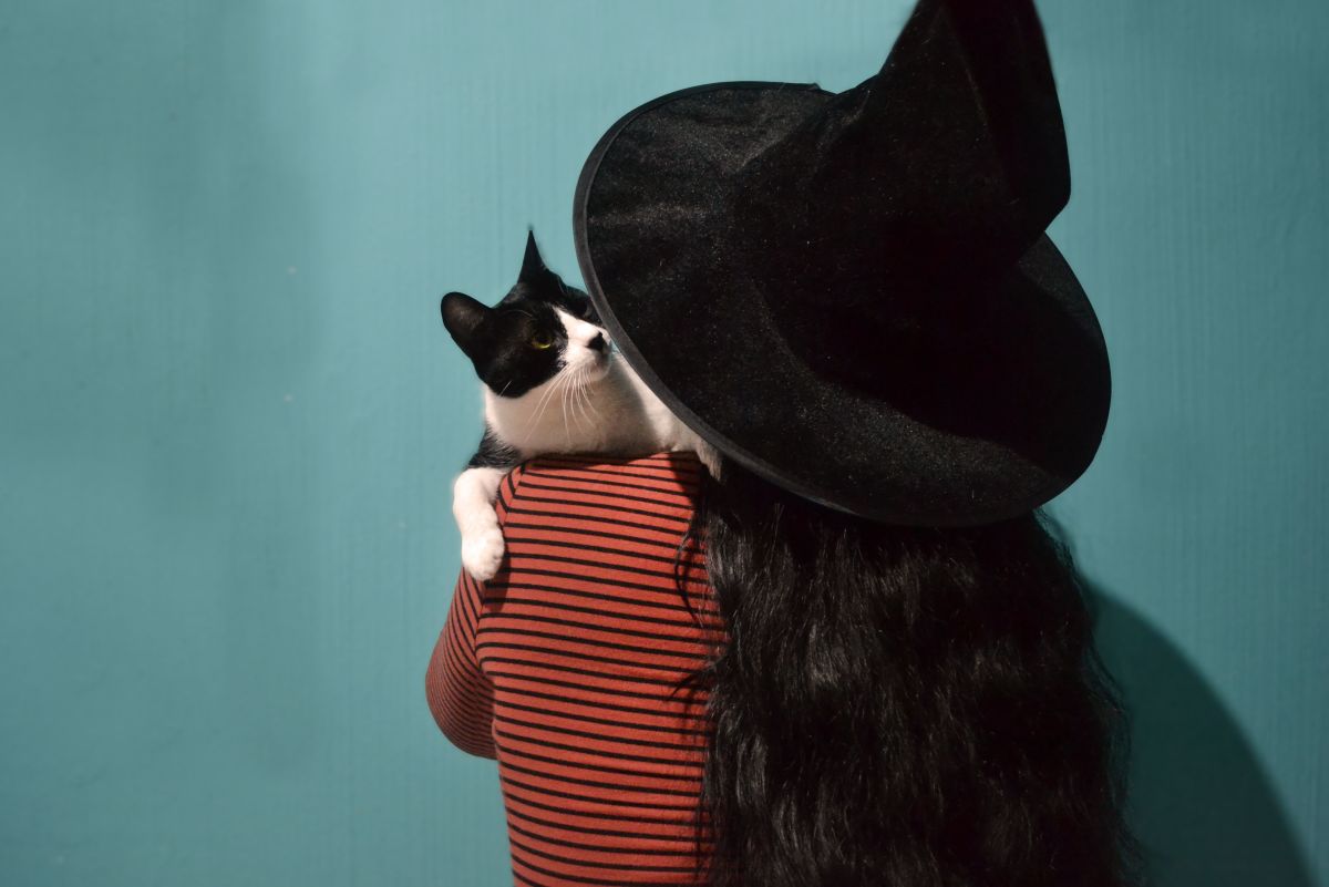 190 Unique Witch Names for Cats From History, Myth, and Literature