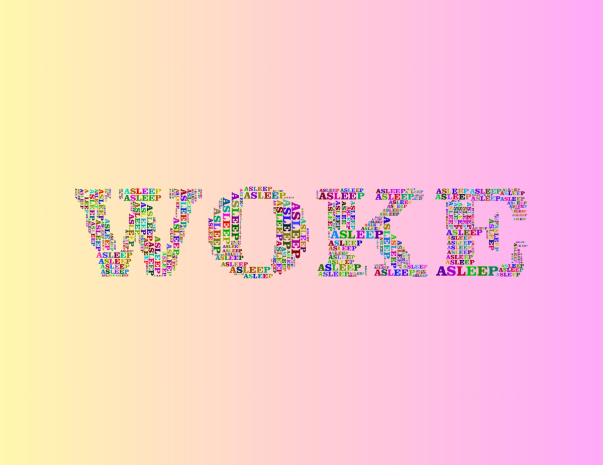 The Woke Culture Dispute: Wake Me When It's Over