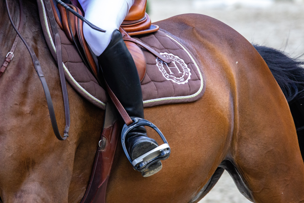 Quiz: How Confident of a Horseback Rider Are You?