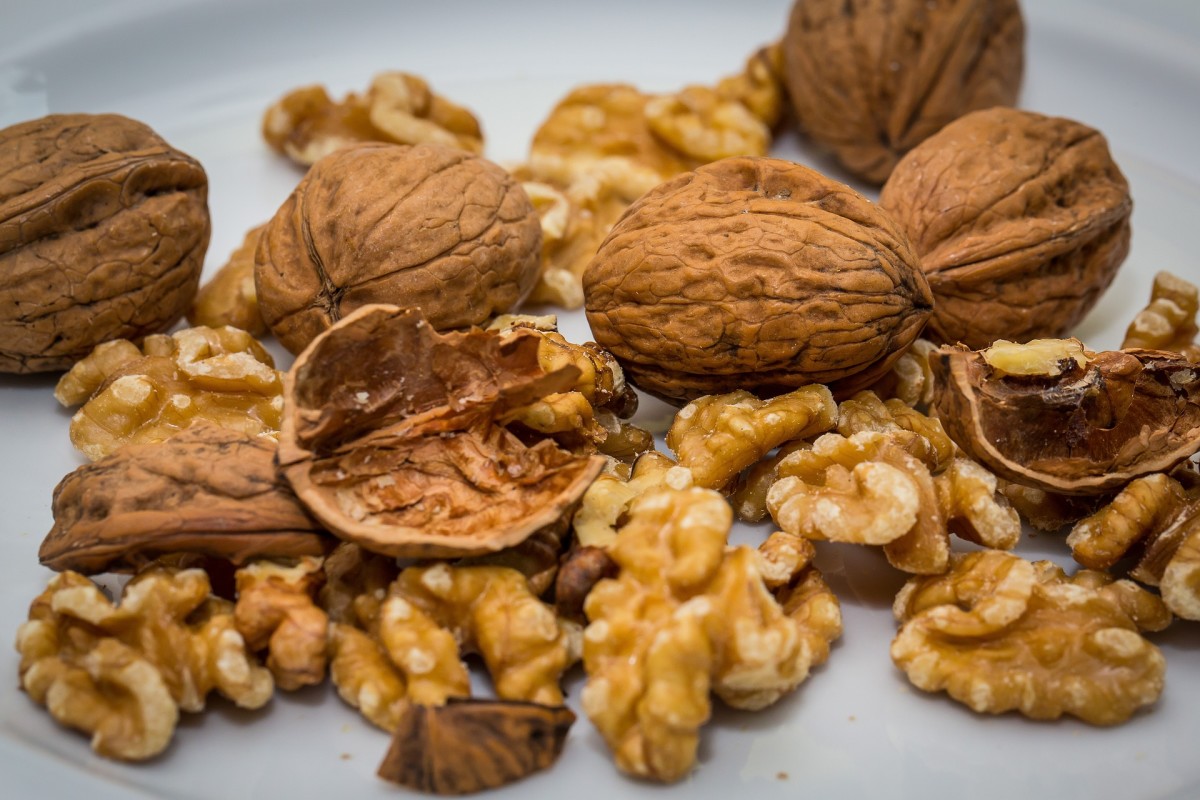Exploring Walnuts: Facts, Nutrition, Trivia, and 6 Recipes
