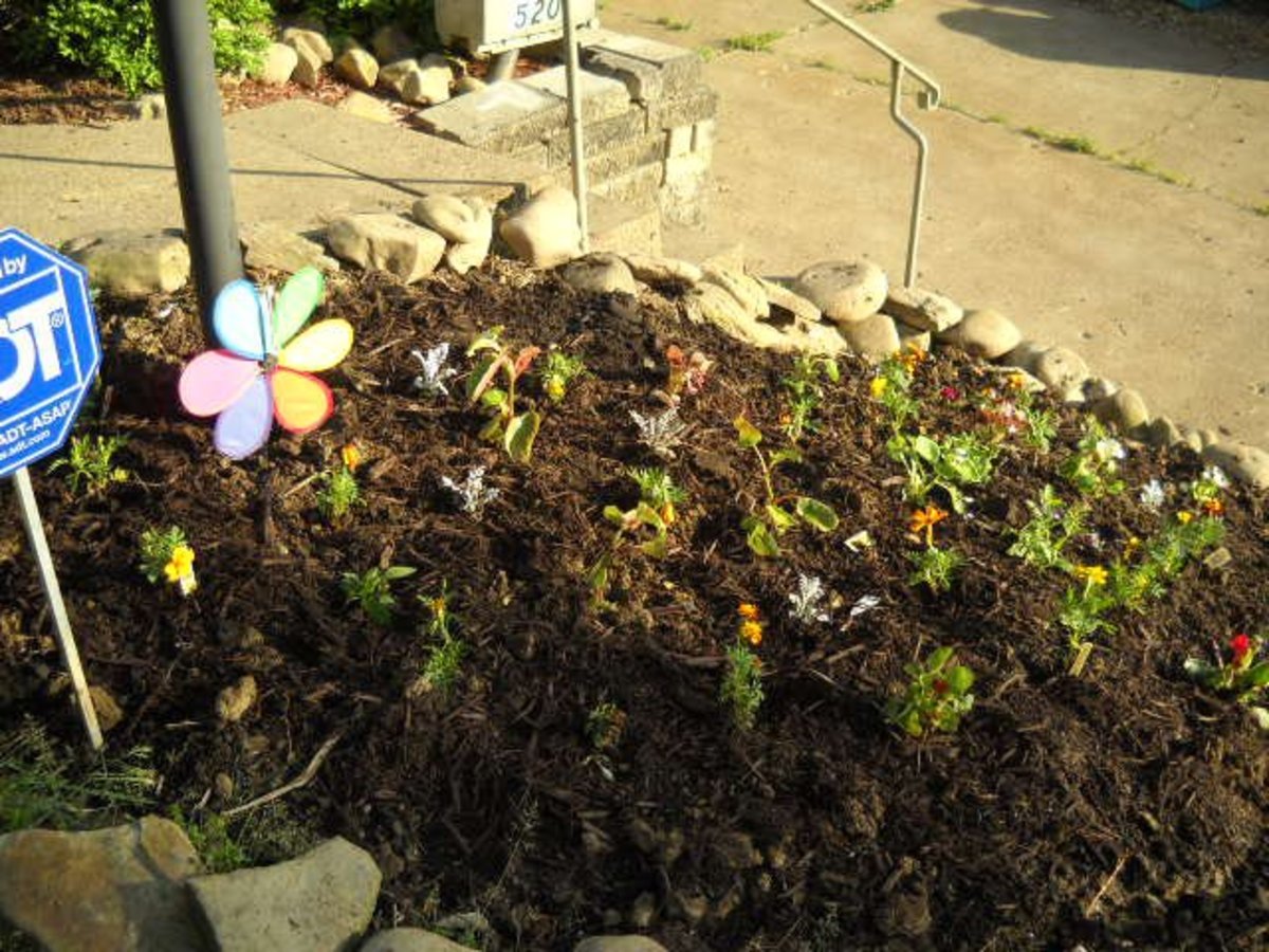 Planting Flowers That Deer Will Not Eat HubPages