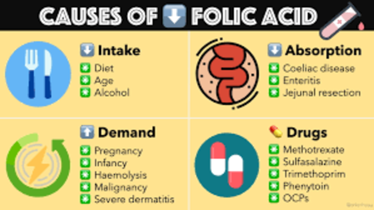 Importance Of Nutritional Aspects Of Folic Acid In Human Life Hubpages