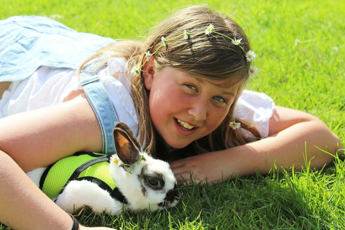 What Are the Best Bunnies for Children?