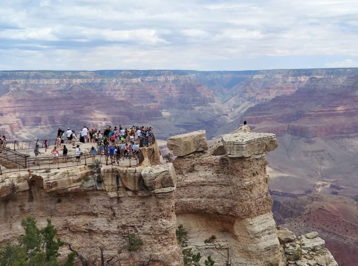 Wildlife Sightings When Living Around the Grand Canyon - WanderWisdom