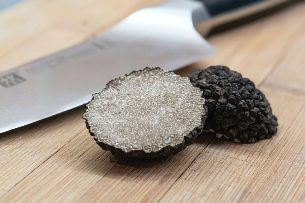 Truffles: The Most Expensive Fungi in the World