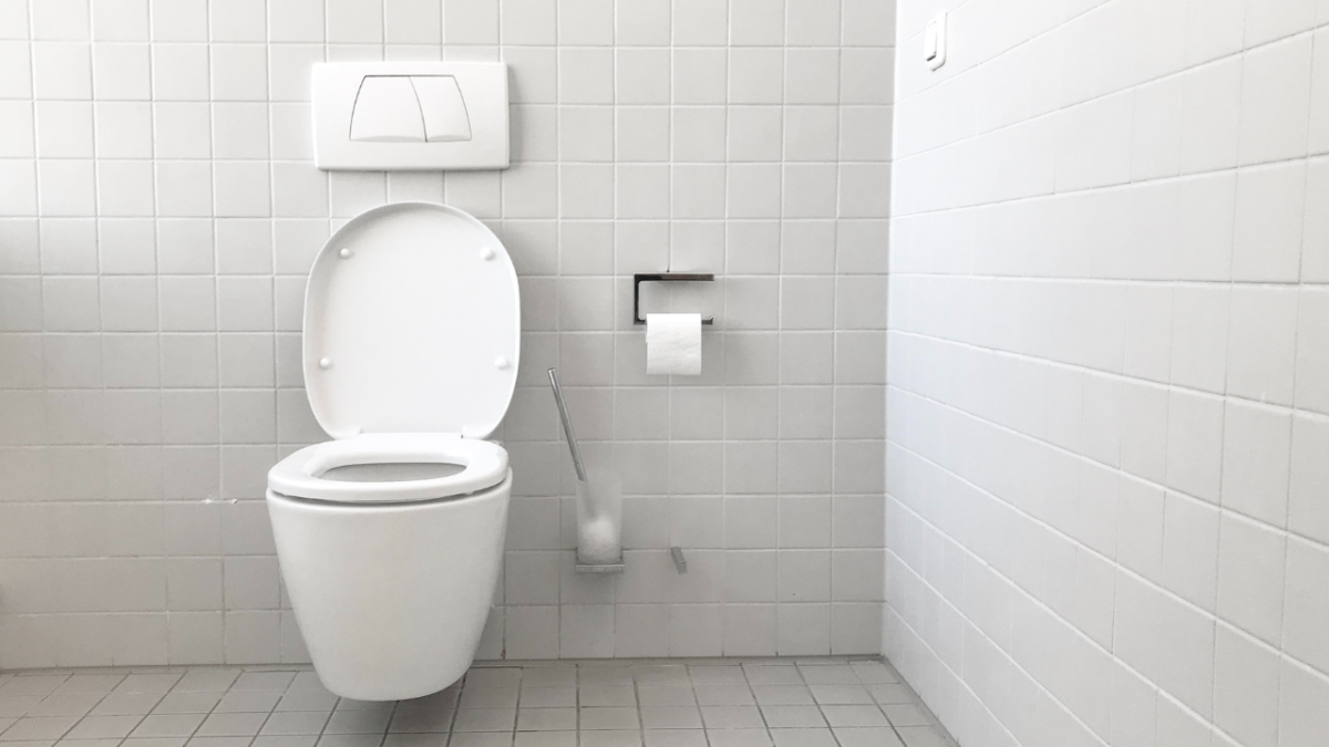 How to Unclog a Toilet With or Without Using a Plunger Dengarden