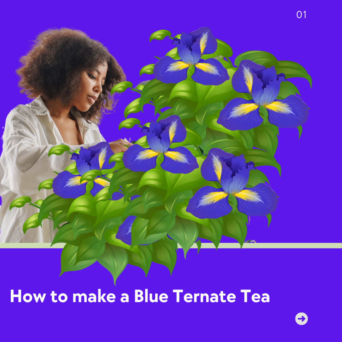 How to make a Blue Ternate Tea