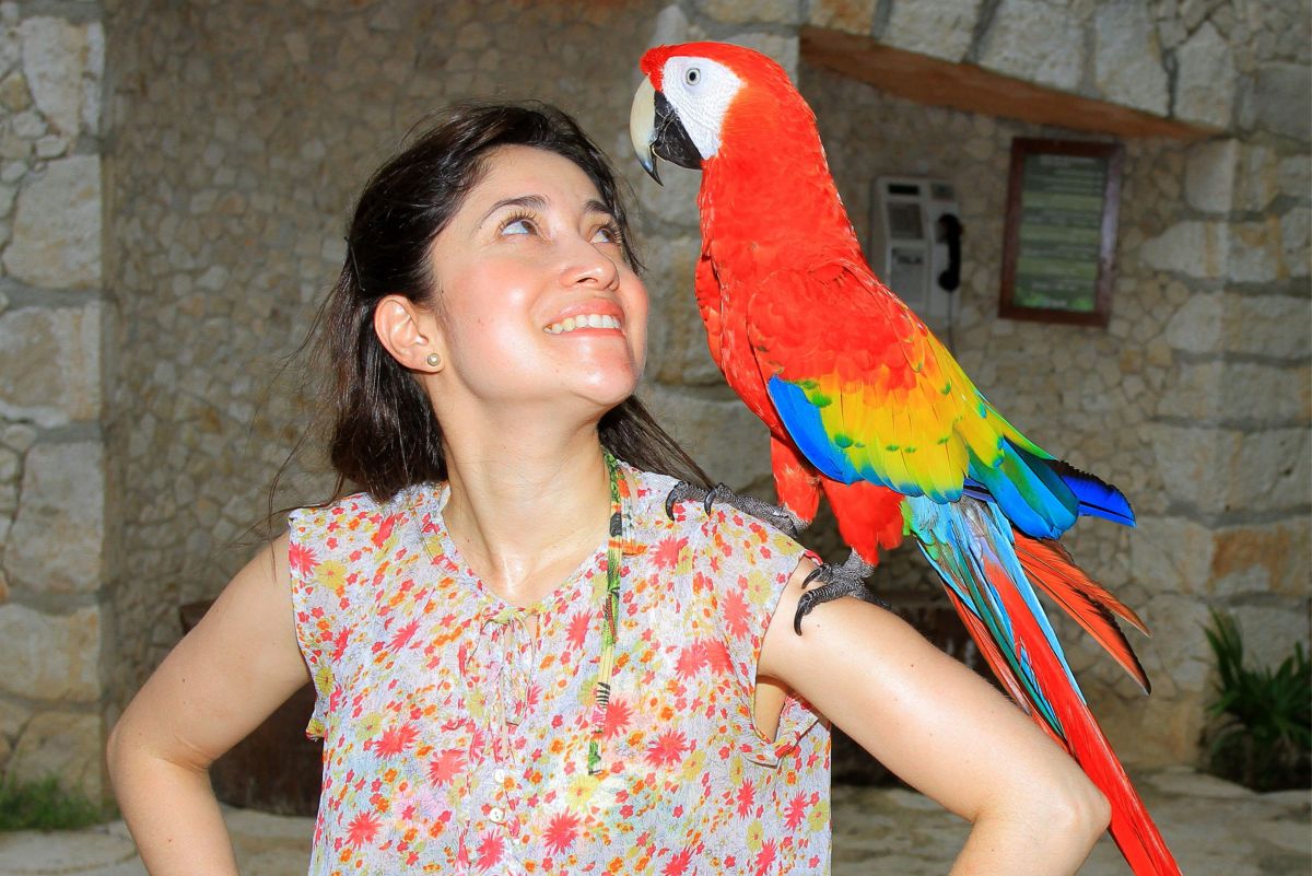4 Best Ways to Exercise Your Parrot - PetHelpful