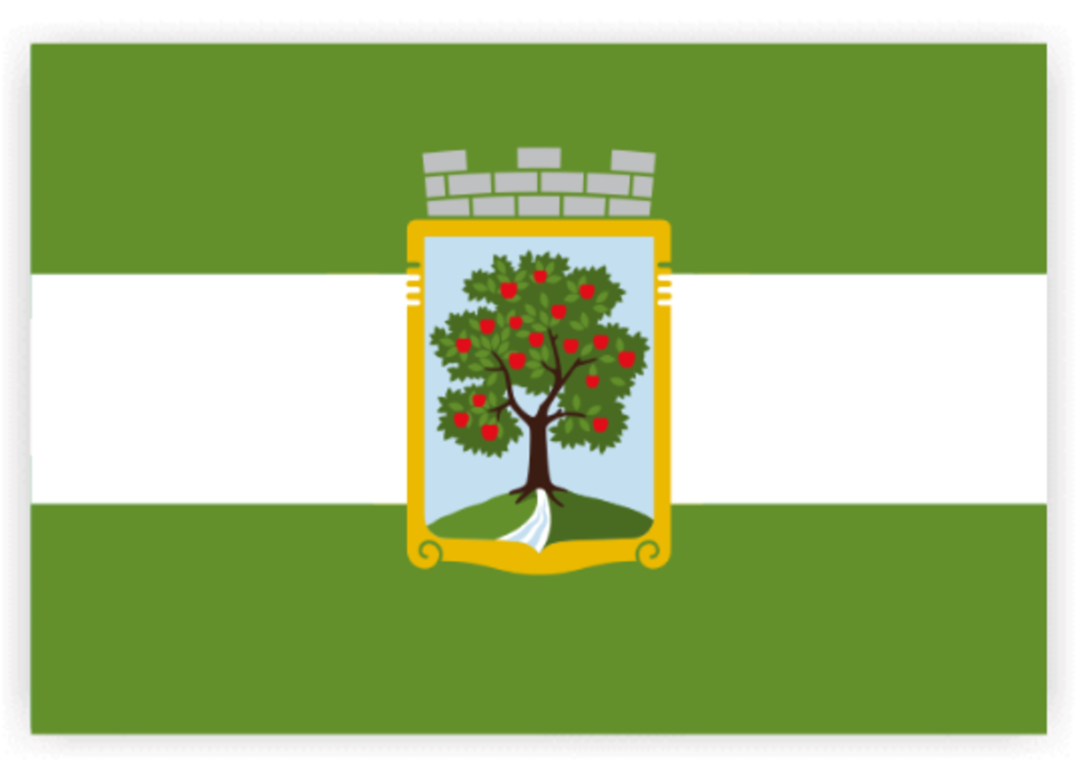 GreenWhiteGreen Flags Around the World Soapboxie