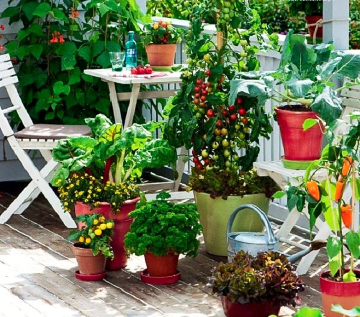 How to Utilize Your Balcony to Make a Small Kitchen Garden