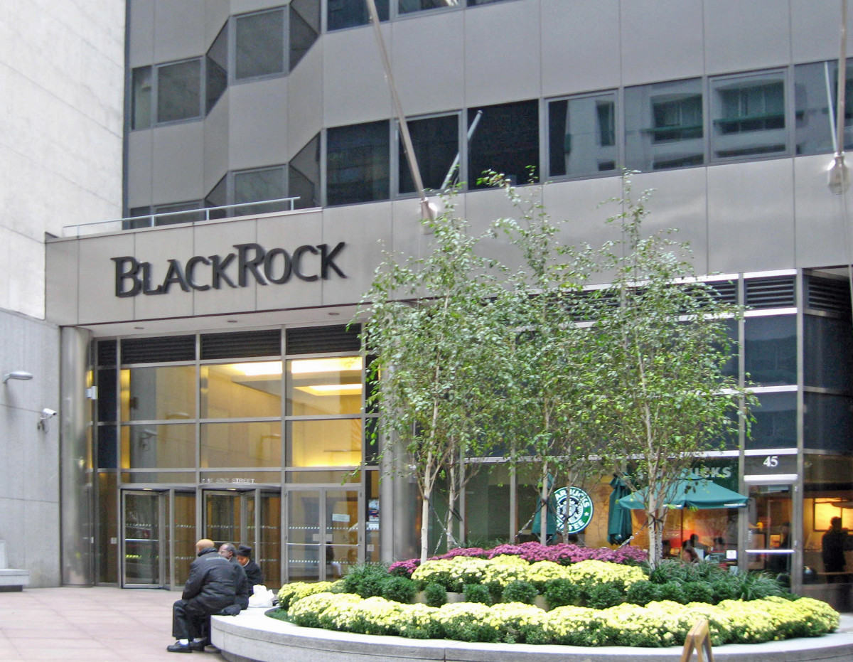 BlackRock Paris Demonstrations