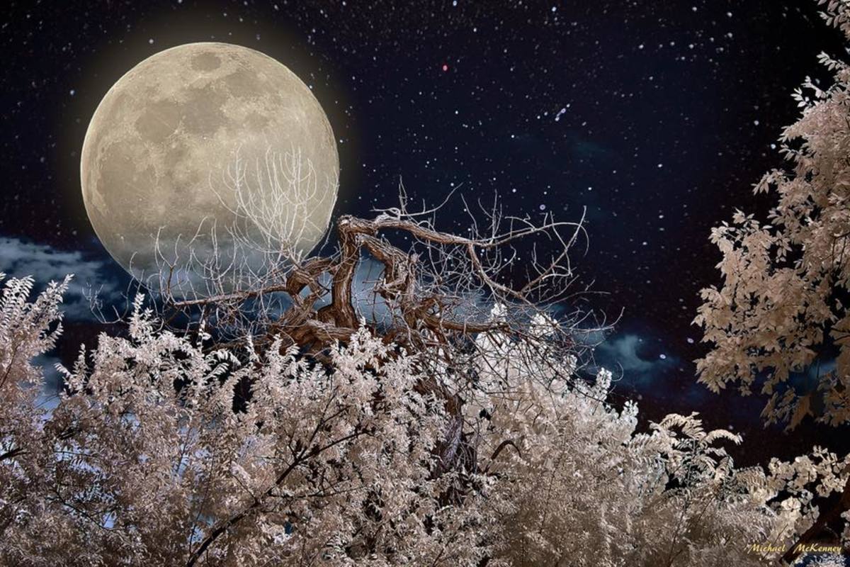 Moon Phase Gardening Folklore or ScienceBased Technique? Dengarden