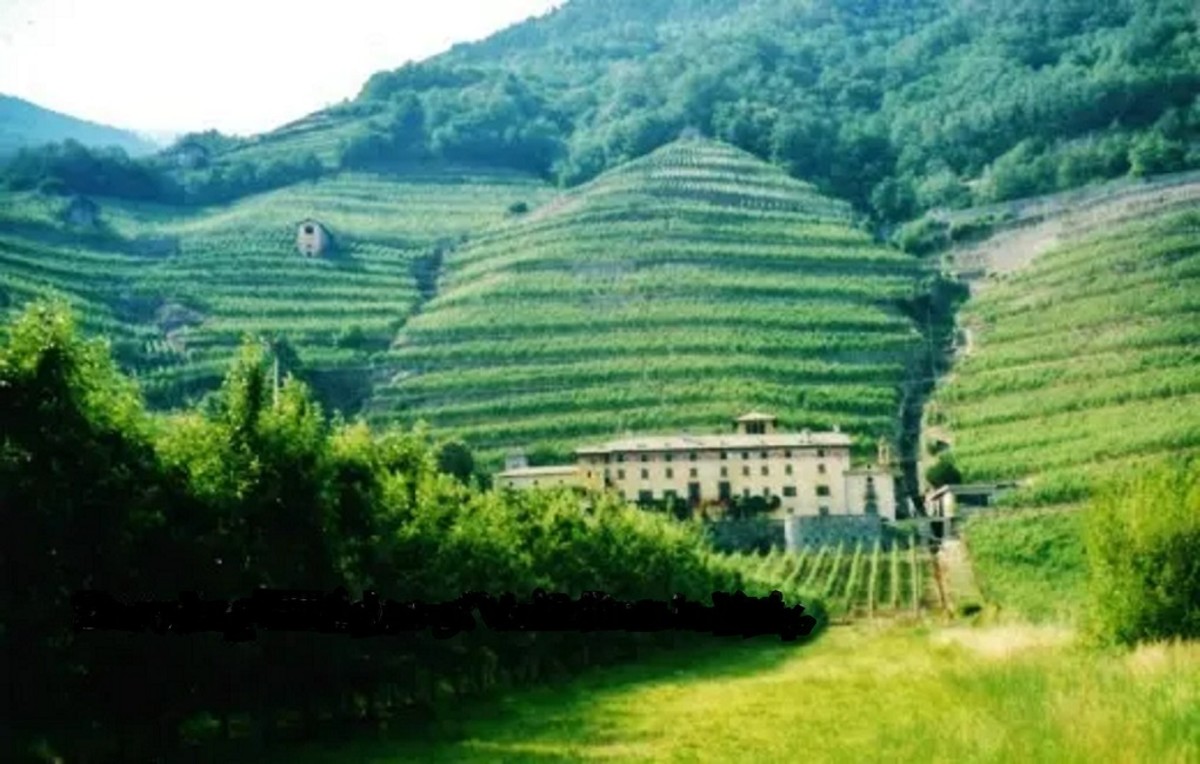 Ancient Valtellina Hillside Vineyards: Italian Wine, Food, and FAQs