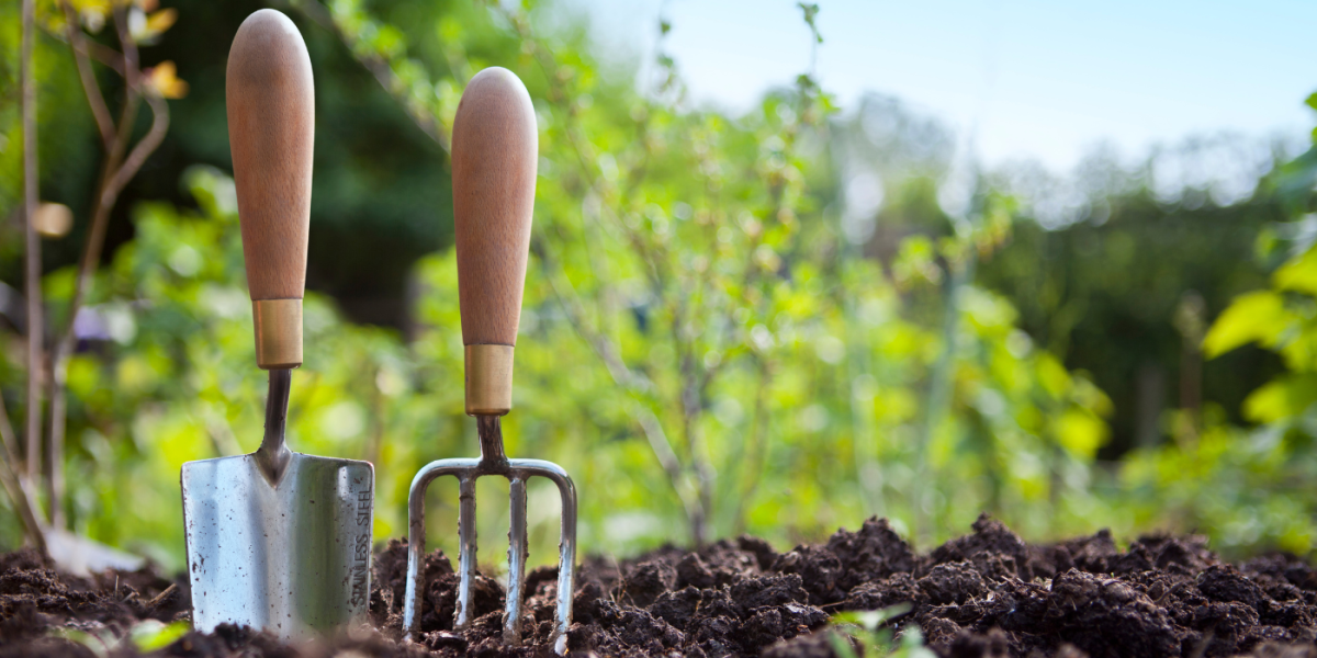 How to Start a Garden for Beginners