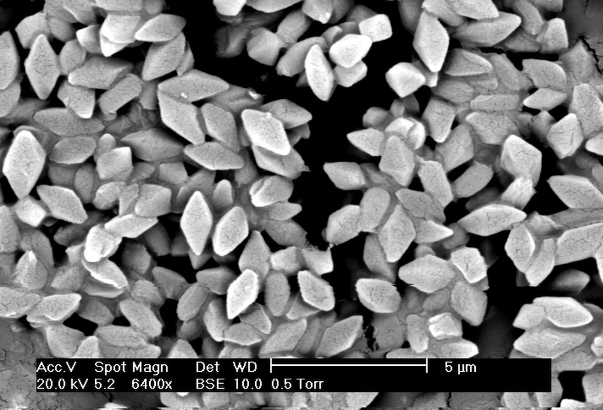 All About Bacterial Toxins