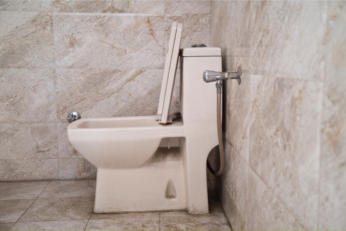 How to Fix a Toilet Flush Valve: An Easy Step-by-Step Guide