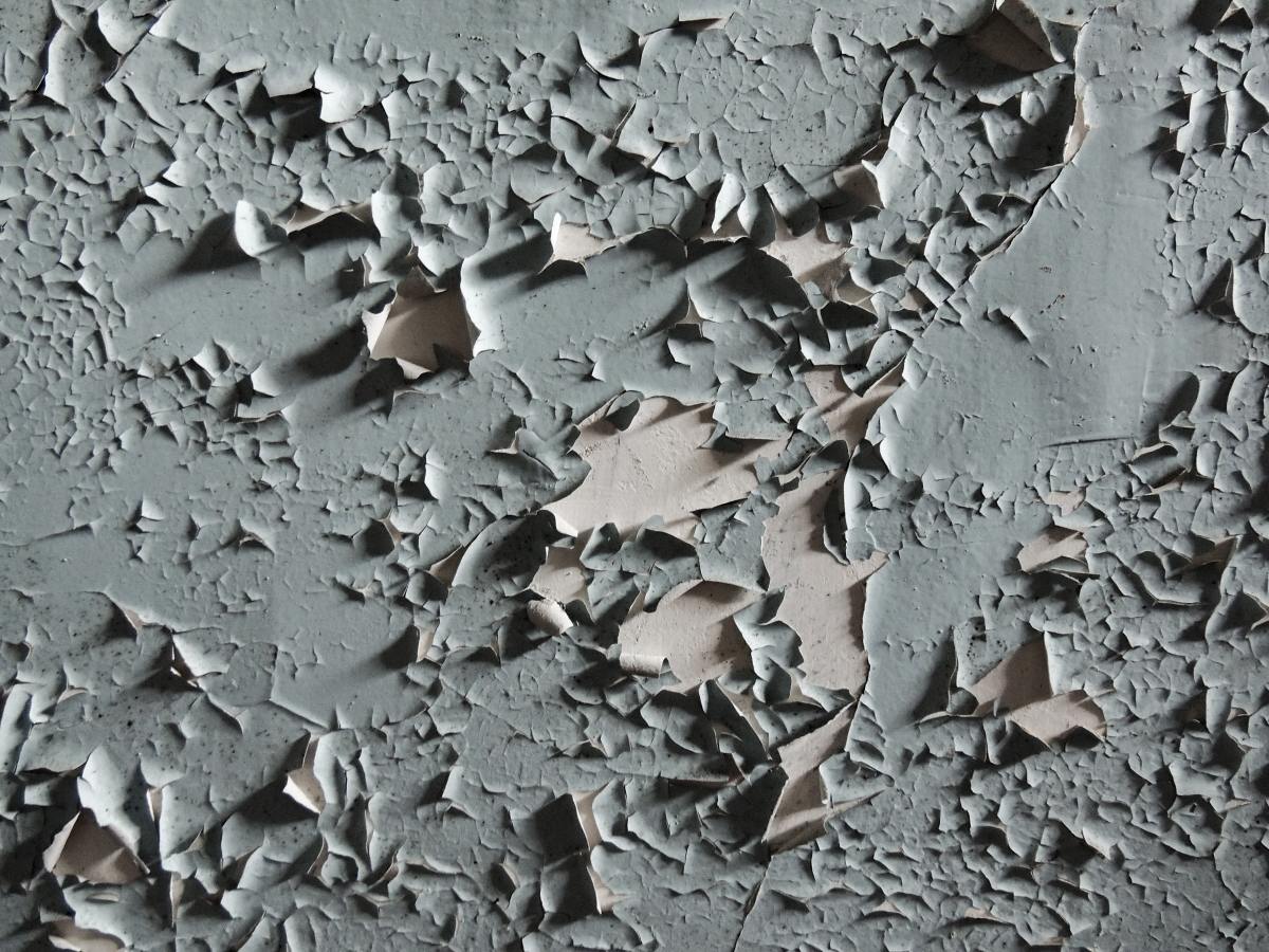 15 Causes of Peeling Paint on Walls and Ceilings