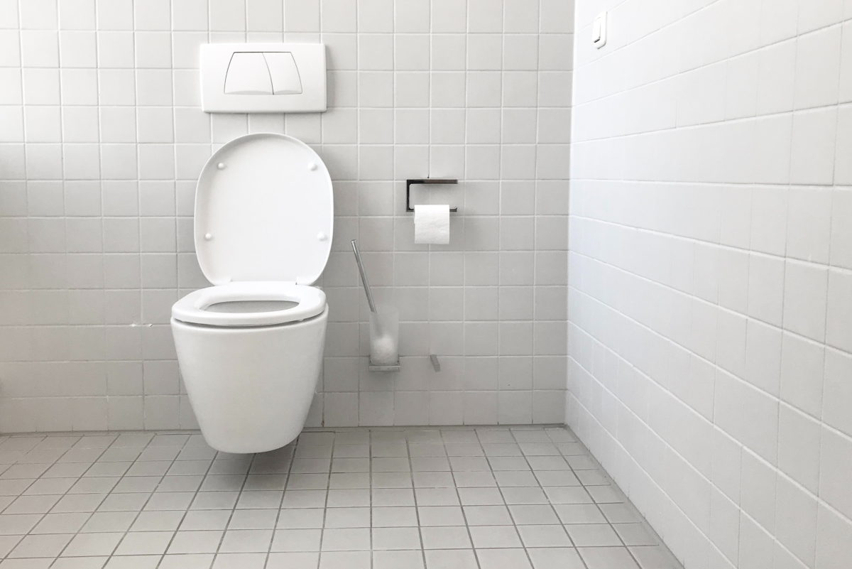 https://images.saymedia-content.com/.image/t_share/MTk3NDgwMTYyMzY2MzMzOTU4/all-about-toilet-parts.png