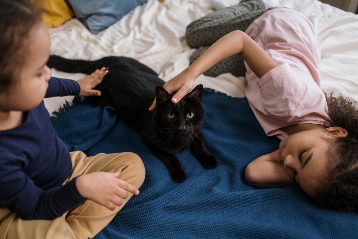 Teaching a Young Child How to Interact With a Cat