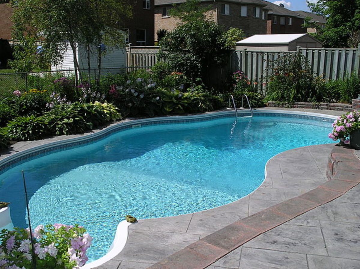 11 Natural Pool Landscaping Ideas for Privacy