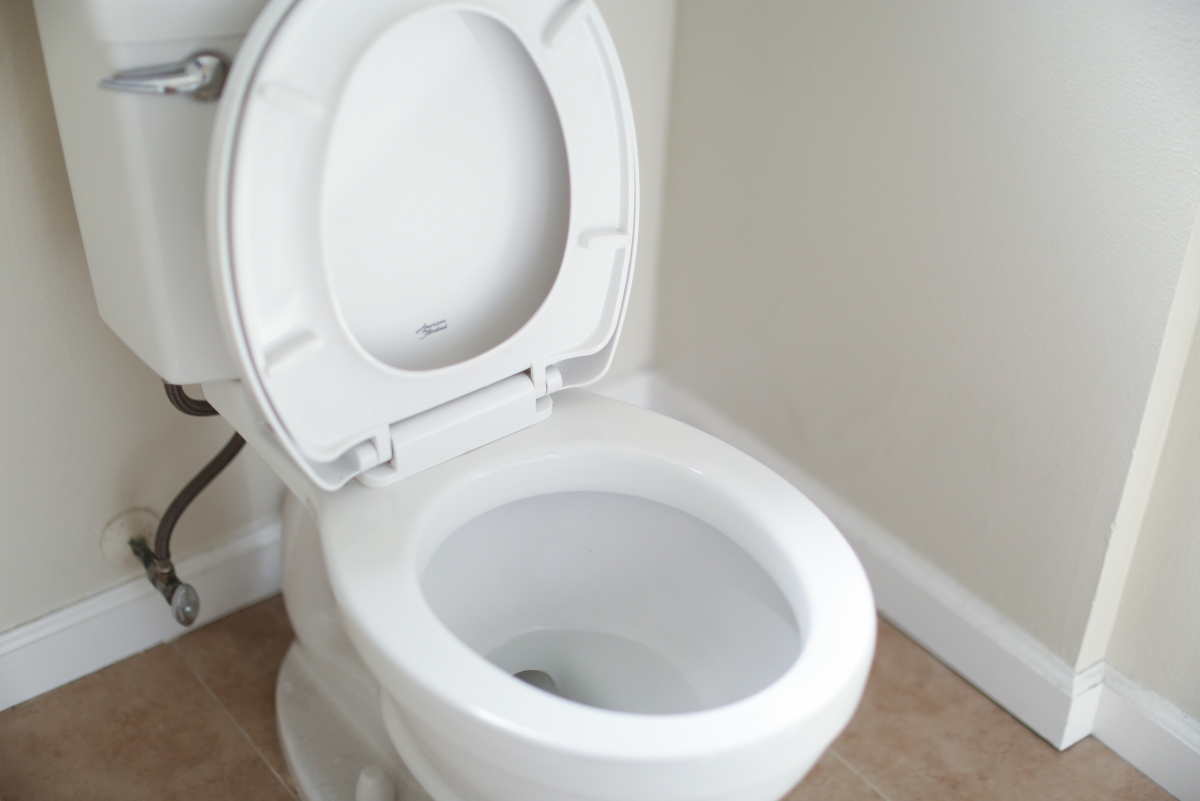 What Not to Flush Down the Toilet