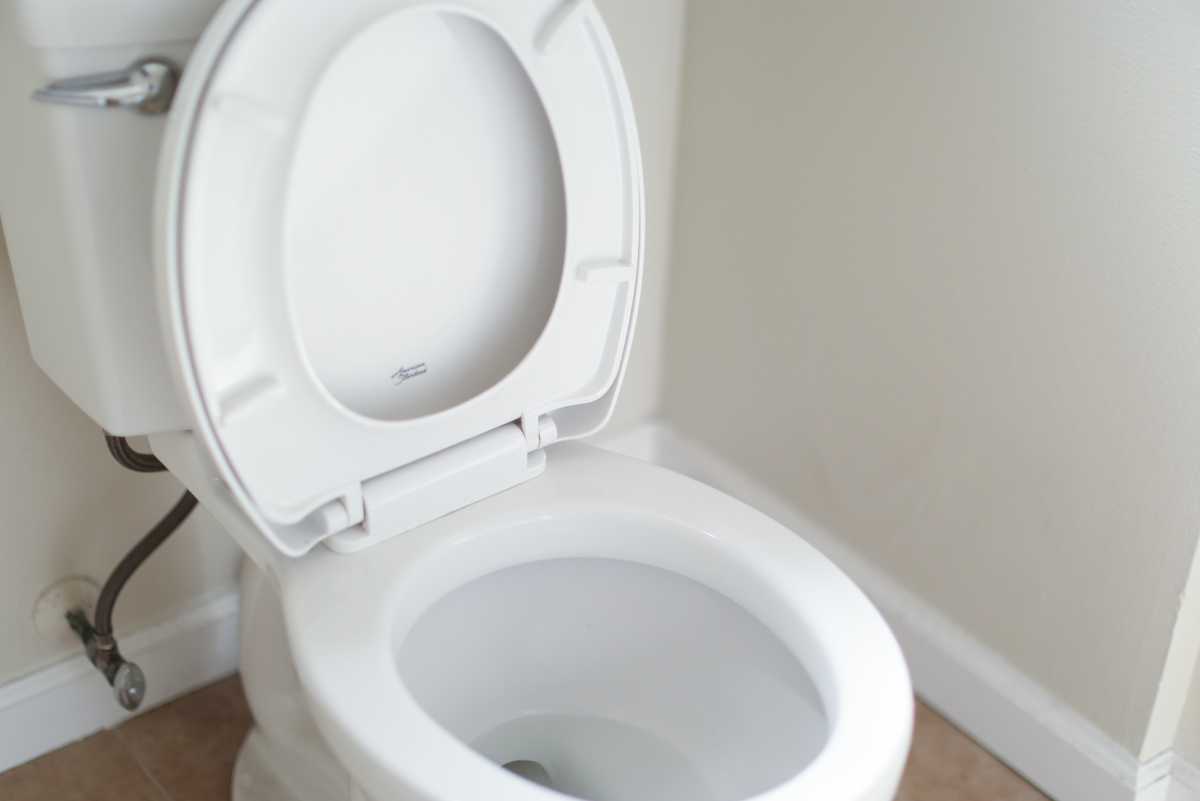 Installing a New Toilet: One Woman's Adventures in Plumbing