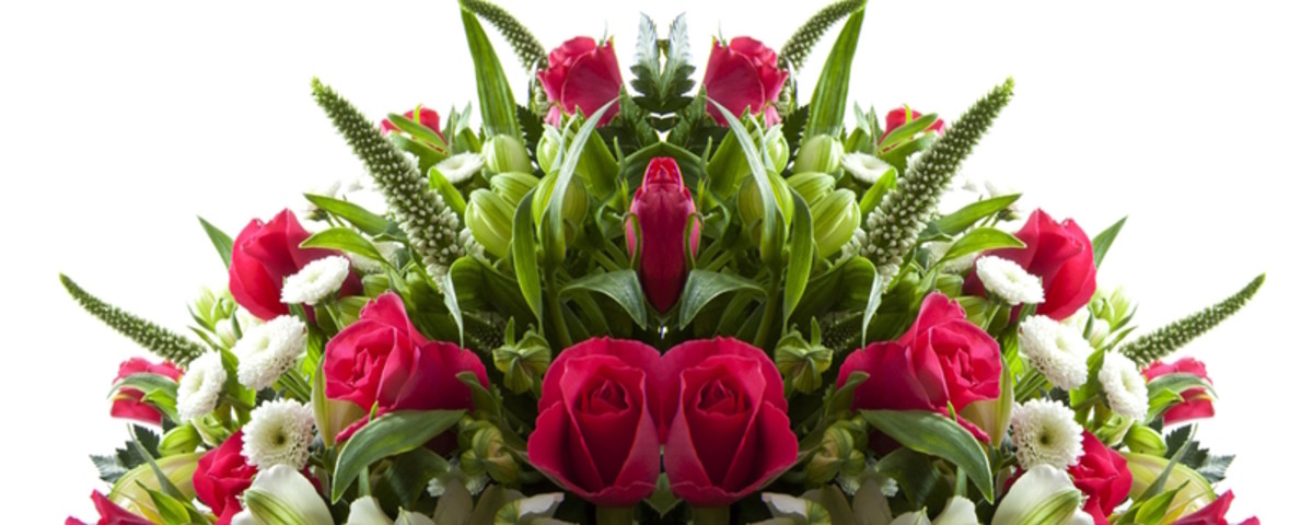 Why Flowers Make Great Gifts for Seniors