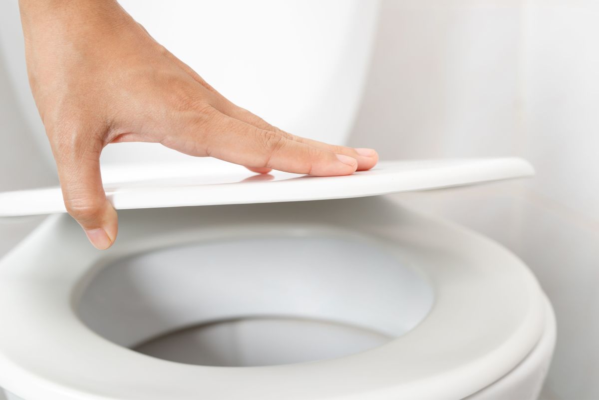 Toilet Seat and Toilet Lid Lift 