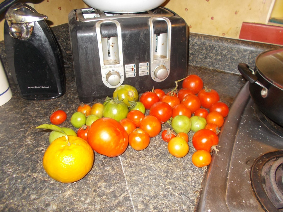 Best Tomatoes to Grow in the Deep South in Containers HubPages