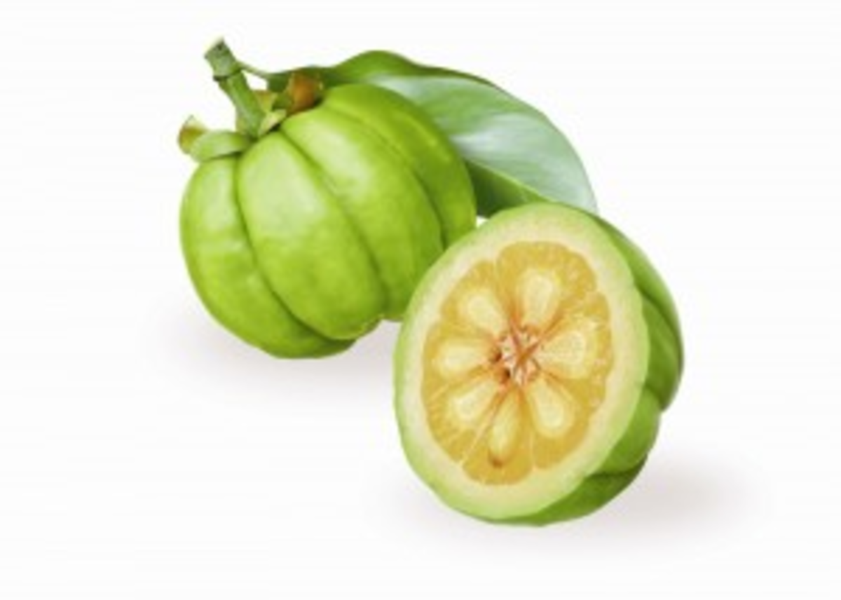 Garcinia Cambogia Fruit Benefits