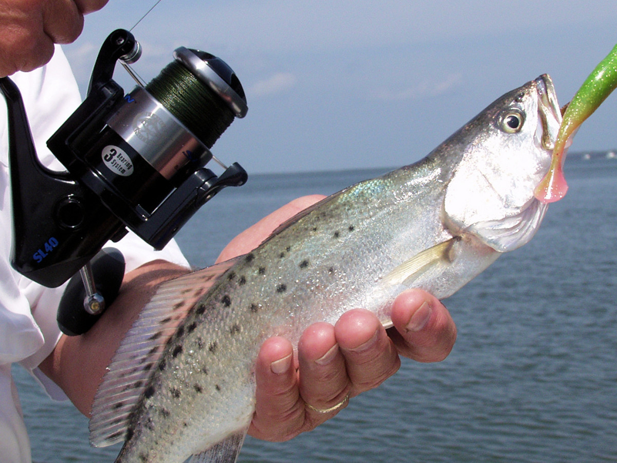 Drift Fishing for Speckled Trout