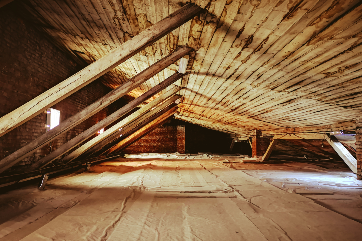 How to Prevent Attic Mold From Growing